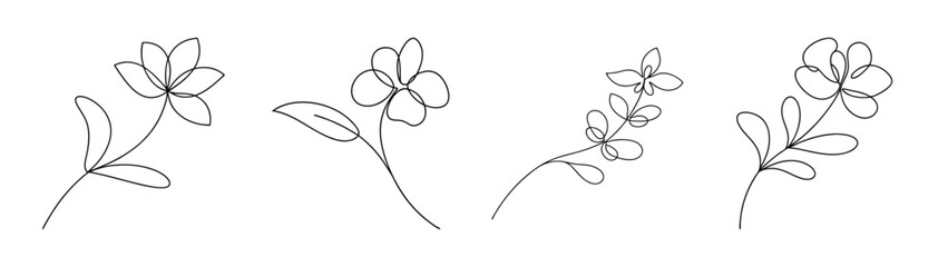 Four delicate larkspur flower line drawings botanical art