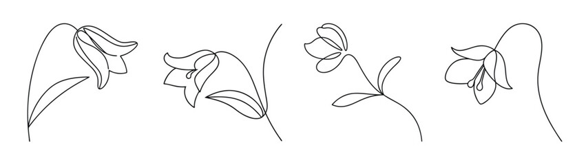 Delicate virginia bluebells blooms in artistic sketch style close up