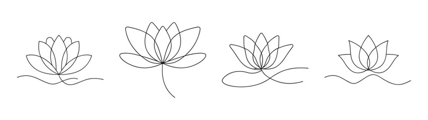 Four detailed black and white water lily flower line drawings