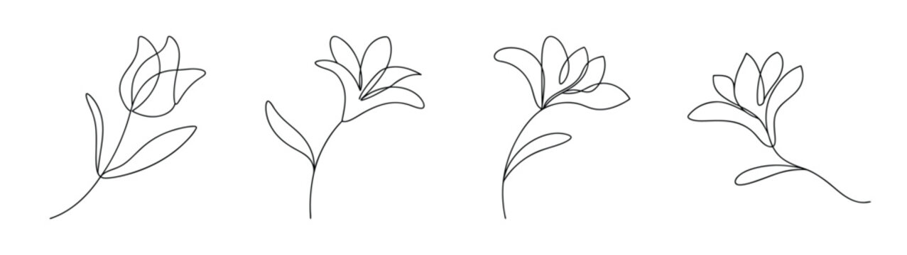 Four delicate line art sketches of blooming tuberose flowers with leaves and stems