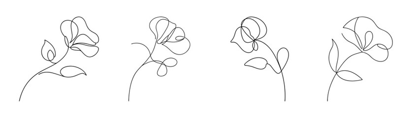 Delicate sketch of sweet pea flowers in bloom with intricate floral details