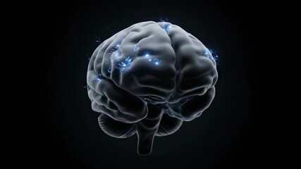 Human brain model, visualizing neural activity and cognitive function in dark studio. Brain activity is visualized as glowing connections in realistic brain model.