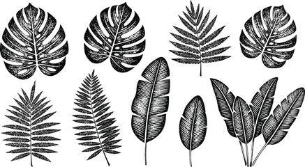 Collection of various tropical palm leaves and jungle foliage in a distressed black and white graphic style