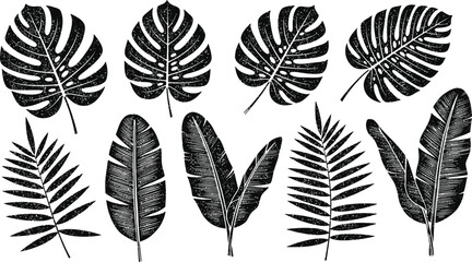 Collection of various tropical palm leaves and jungle foliage in a distressed black and white graphic style