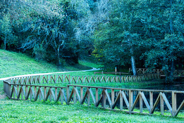 Wooden Fence and Reflection by Forest Pond