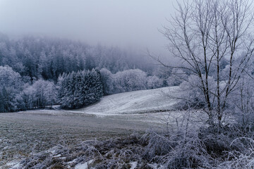 Winter landscape with frosty trees and misty hills