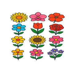 set of colorful flowers