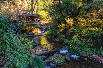 Kifune Shrine during fall season, famous shinto shrine located in Kyoto Prefecture, Japan.
