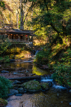 Kifune Shrine during fall season, famous shinto shrine located in Kyoto Prefecture, Japan.