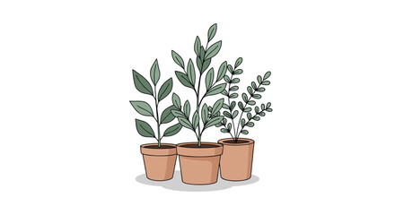 Obraz premium Group of potted plants with green leaves in a simple illustration style.