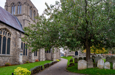 Medieval rural church behind a tree