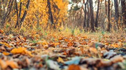 breeze. Vibrant autumn park scene with colorful foliage and falling leaves, illuminated by warm golden sunlight. representing seasonal cycles and harvest abundance.