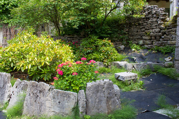 Fototapety na wymiar - Fototapeta24.pl