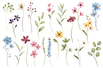 Flowers and leaves digital illustration, spring design, watercolor hand painting. Perfectly for printing, sublimation.