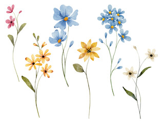 Flowers digital illustration, spring design, watercolor hand painting. Perfectly for printing, sublimation.