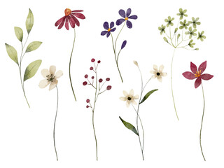 Flowers and leaves digital illustration, spring design, watercolor hand painting. Perfectly for printing, sublimation.