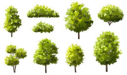Vector of green tree side view isolated on white background ,watercolor tree elevation for landscape concept,environment scene,eco design, garden for spring