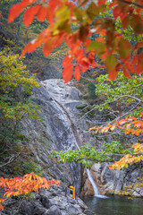 설악산 비룡폭포 단풍