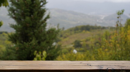 Empty Wooden Surface with a Blurred Natural Background