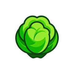Illustration of a fresh green cabbage head