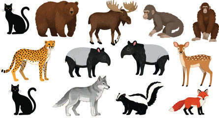 Collection of diverse animal species, showcasing wildlife from around the world