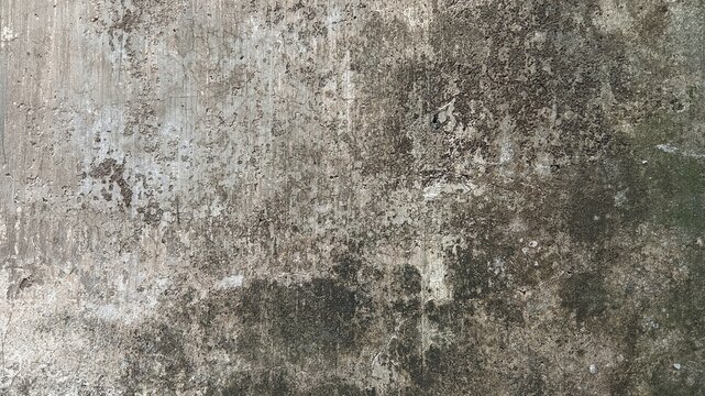 Extreme close-up of a heavily weathered, dirty, and grungy concrete wall surface with dark mold.
