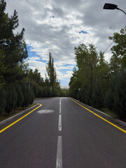 Empty road with trees, road outside the city A road with a white line down the middle. Trees are on both sides of the road. The sky is cloudy