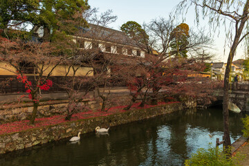 日本の風景・秋　岡山県倉敷市　倉敷美観地区