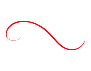 Hand drawn red calligraphy swoosh isolated on white background