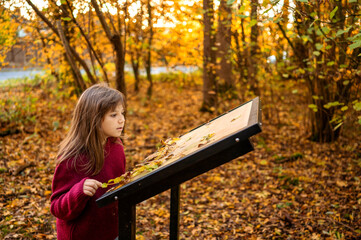 Girl in autumn park reading a sign surrounded by golden trees.
