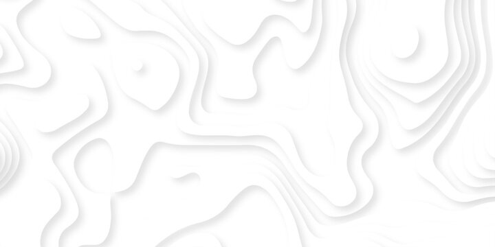 Abstract white paper cut background with lines. Background of the topographic map. White wave paper curved reliefs abstract background. Realistic papercut decoration textured with wavy layers.	