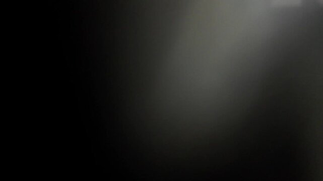 A malamute lying comfortably on a soft surface while a cat sits nearby, both enjoying a peaceful moment together in a warm indoor environment.