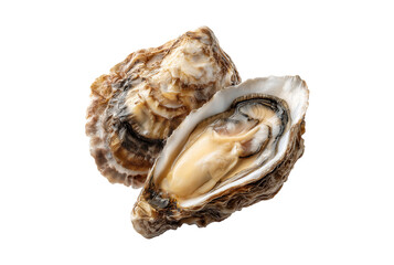 Naklejka premium Freshly opened oyster with creamy meat isolated on transparent background