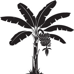 Black and White Banana Tree Silhouette Vector with Fruit and Blossom