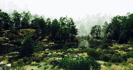 A tranquil setting features dense trees and a calm lake surrounded by rocks and grass. Early morning fog adds a mystical quality to the serene natural scene.