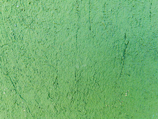 Obraz premium Green painted wall texture rough surface background
