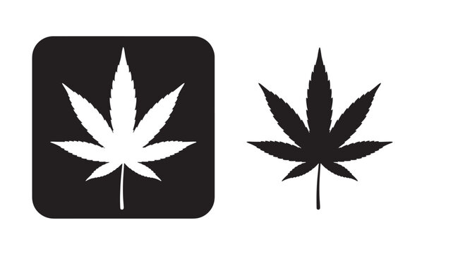 Two cannabis leaf designs one filled and one outline on transparent background silhouette