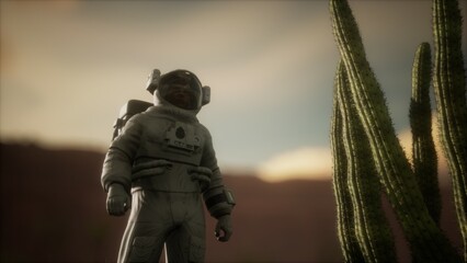 An astronaut stands next to a towering cactus, gazing at a surreal desert landscape. The sun sets behind rocky mountains, casting warm hues across the sky, creating a mystical atmosphere. © icetray