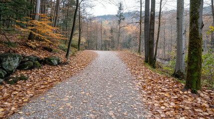 Fototapeta premium Serene forest path lined with autumn leaves, surrounded by trees and tranquil atmosphere