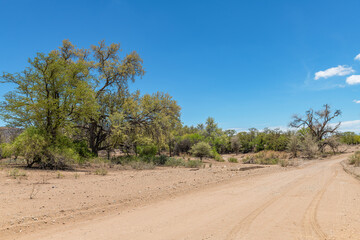 Sand road in the Ugab River valley, Namibia