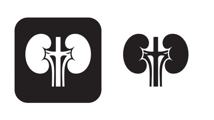 Detailed human kidneys icon illustration with square and isolated version silhouette on transparent background
