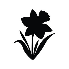 Silhouette of a daffodil flower with leaves on a white background