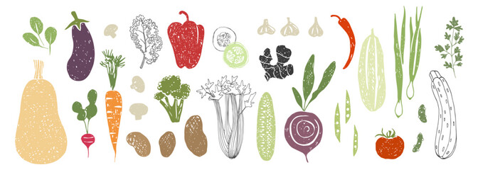 Plakat Contour and silhouette textured vegetables.