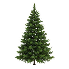 Realistic green pine tree with dense needles isolated on black for festive holiday and nature designs isolated on transparent background