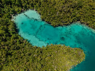 Aerial view of tropical lagoons with turquoise water and lush green islands in Raja Ampat, Indonesia.  
