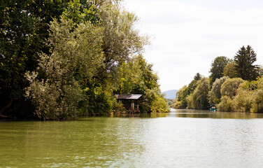 Peaceful River Scene with Lush Green Trees