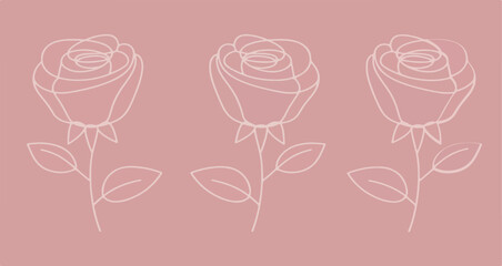 Fototapeta premium Three rose outlines on pink background