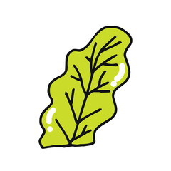 Healthy Leafy Greens Symbolizing Freshness and Organic Produce for Your Diet