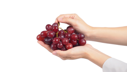 A person's hands delicately hold a vibrant cluster of ripe, juicy red grapes. A visual representation of natural freshness and the pleasure of enjoying nature's bounty
