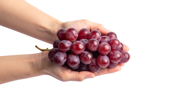 Close-up of hands holding fresh red grapes, ready for a delightful experience. Showcasing the beauty and taste of nature's sweet treat